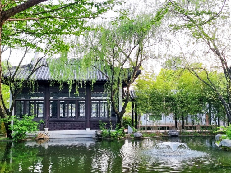  수원 당일치기 여행, 효원공원 월화원 구경