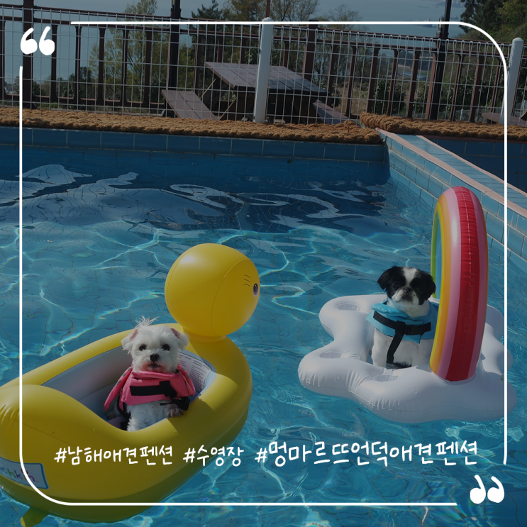  남해애견동반펜션 오션뷰객실 애견수영장 멍마르뜨언덕애견펜션 솔직후기