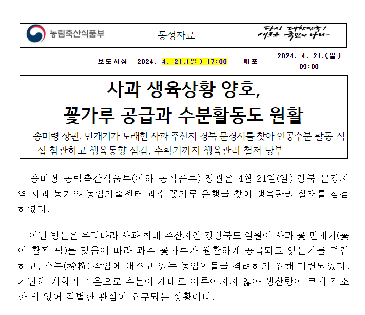 사과 생육상황 양호, 꽃가루 공급과 수분활동도 원활 사과 생육상황 양호, 꽃가루 공급과 수분활동도 원활