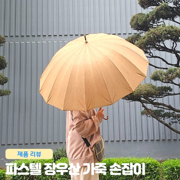  파스텔 장우산 가죽 손잡이 인스타감성 예쁜 컬러 우산