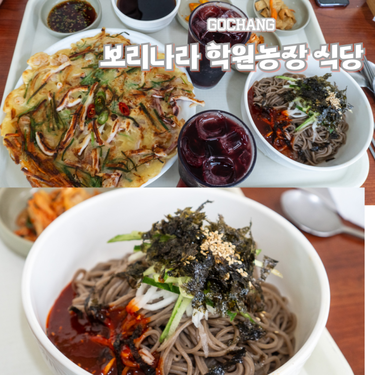  고창 학원농장 식당 청보리밭 축제맛집 수요미식회 추천