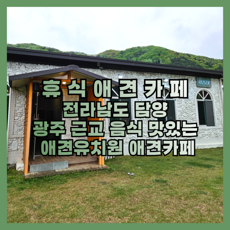  광주 근교 음식 맛있는 애견유치원 애견카페 휴식