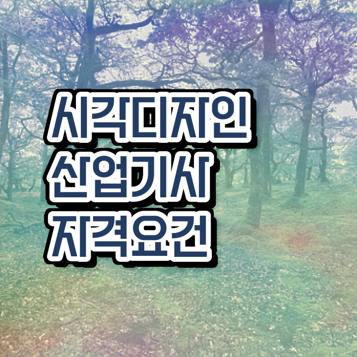  시각디자인산업기사 자격 요건 시각디자인산업기사 자격요건 비전공 직장인도 일과 병행하며 4달만에 완성할 수 있었던 팁