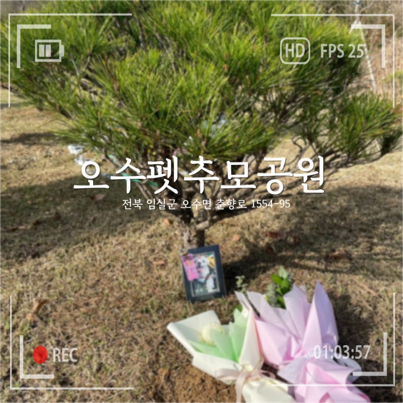 사진 4