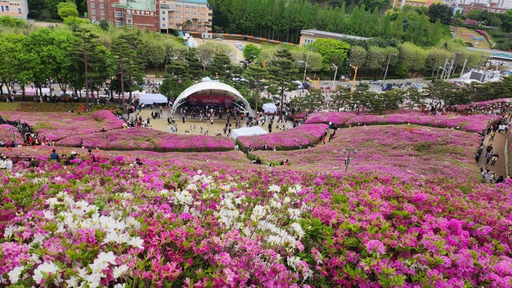  군포 철쭉축제 꽃 나들이 가기! [수리산역, 산본역, 데이트]