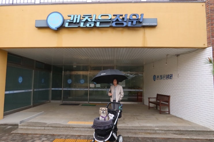  고성 카페 시크릿블루 사이코지만 괜찮아 촬영지 애견동반 가능