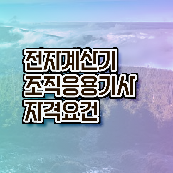  전자계산기조직응용기사 시험과목 전자계산기조직응용기사 시험응시자격 대학진학, 경력없이 인강만으로 15주만에 갖춘 팁