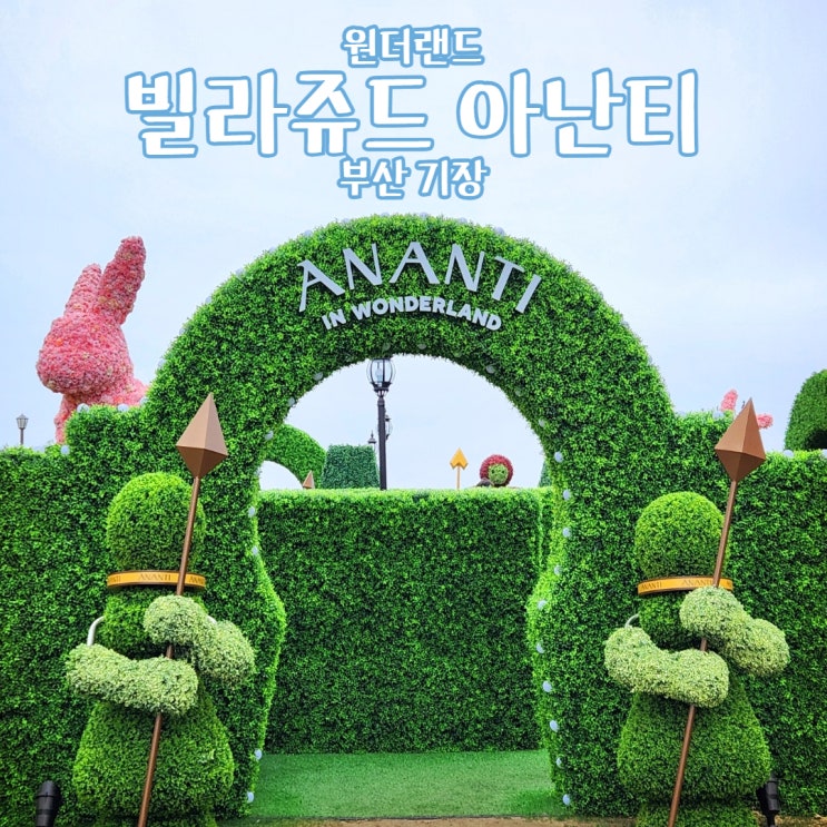  부산 기장 빌라쥬드 아난티 코브 원더랜드 이상한 나라의 앨리스 핫플 주차