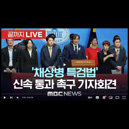 <b>채상병 특검법</b>, 연어 술판, 민정수석실, 최은순 가석방 <b>심사</b>... 