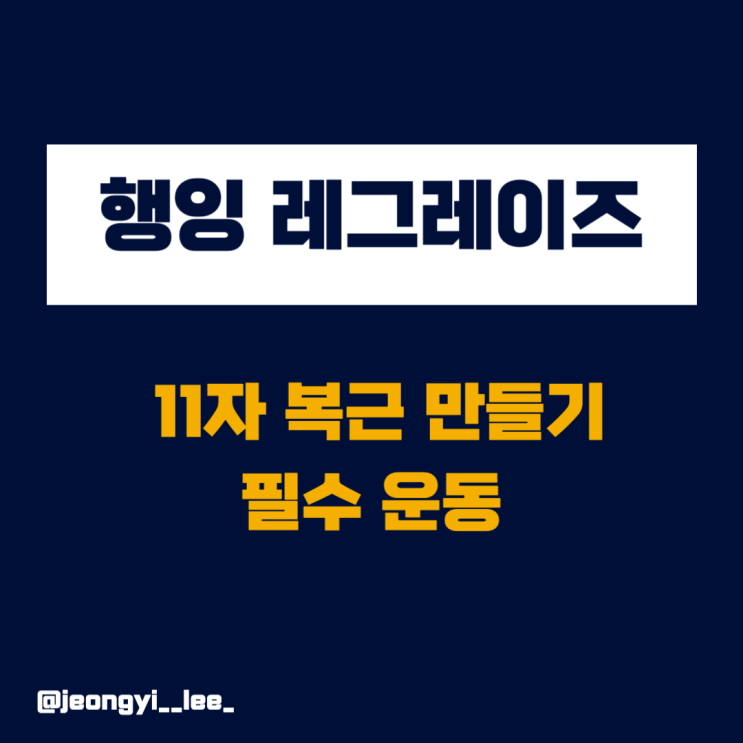  11자 복근 만들기 행잉 레그레이즈, 니업