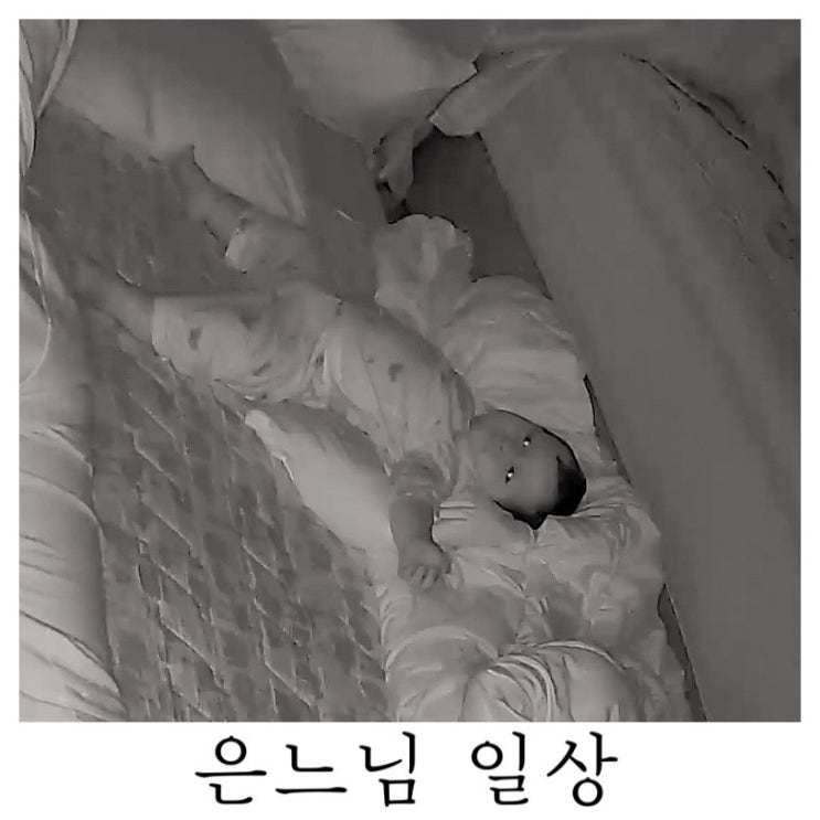  [은느님 일상]내눈을 바라봐 넌 행복해지고
