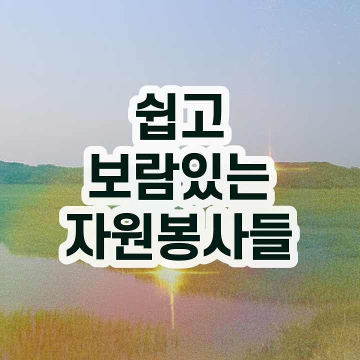  자원봉사지도사 강의 , 자원봉사지도사 자격증 학습 및 합격 과정 공유드려요