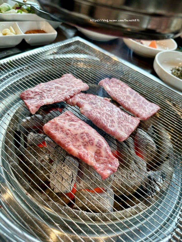  [일상] 소고기 냠냠(4월 셋째 주)