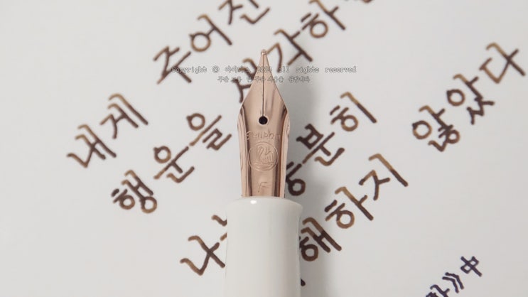  행복해하지 않았다 (펠리칸 M200 코퍼 로즈골드 F닙 만년필로 필사하기)
