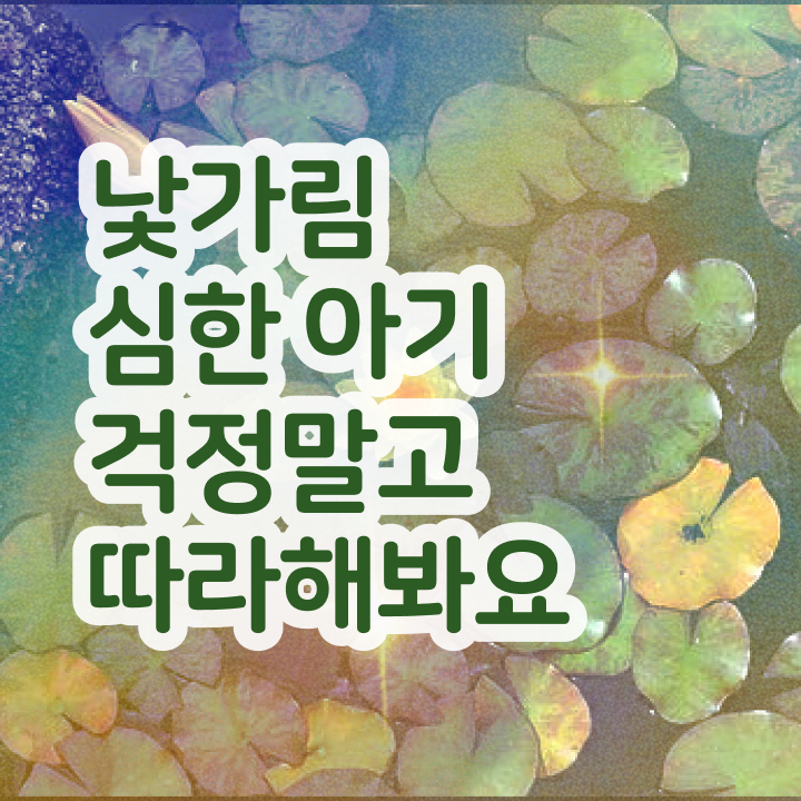  아동소통지도사 무료 강의 , 아동소통지도사 자격증 온라인 독학 확인