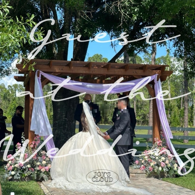  미국 결혼식에 다녀왔어요