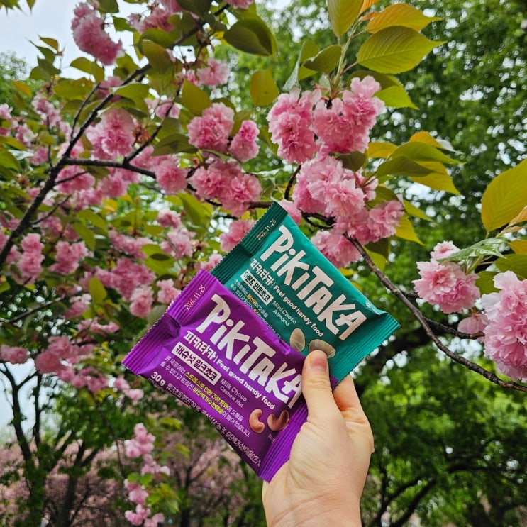  Feel good handy food 피키타카 초콜릿 피키타카 캐슈넛 밀크초코 수험생선물