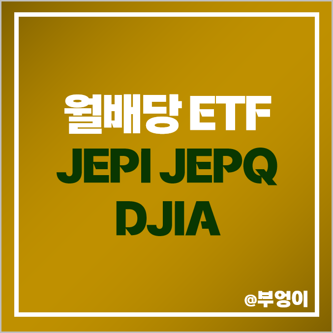 미국 월배당 ETF JEPI JEPQ DJIA 다우 존스 나스닥 S&P500 지수 미국 월배당 ETF JEPI JEPQ DJIA 다우 존스 나스닥 S&P500 지수