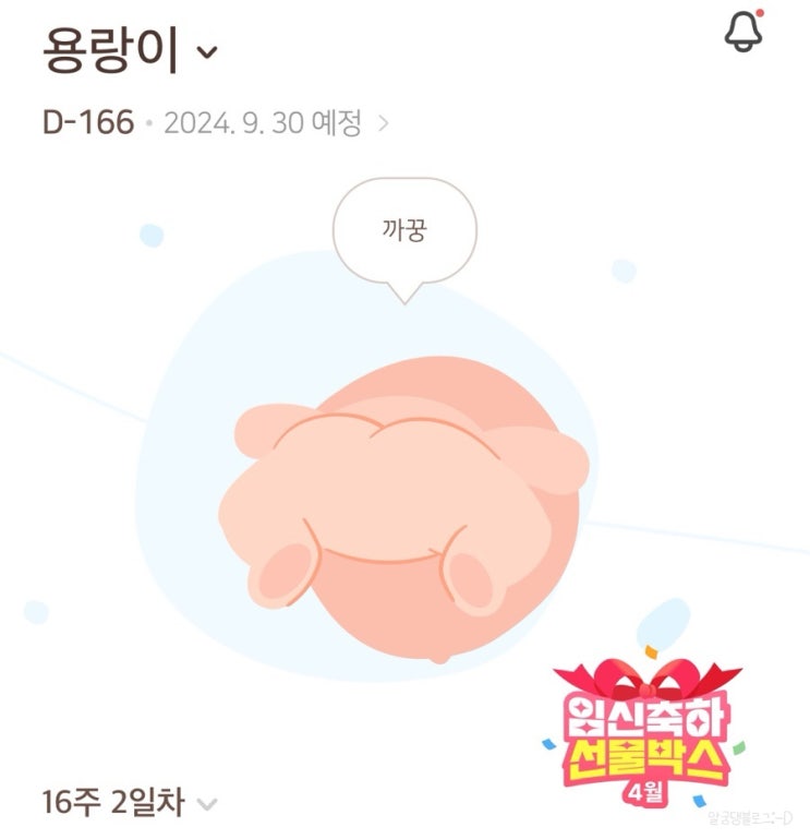 임신 16주차 | 첫 태동?! 용랑이 성별 & 2차 피검사, 페넬로페 더퍼스트박스, 16주 덕양구보건소 선물 수령, 주수 원피스 구입 임신 16주차 | 첫 태동?! 용랑이 성별 & 2차 피검사, 페넬로페 더퍼스트박스, 16주 덕양구보건소 선물 수령, 주수 원피스 구입