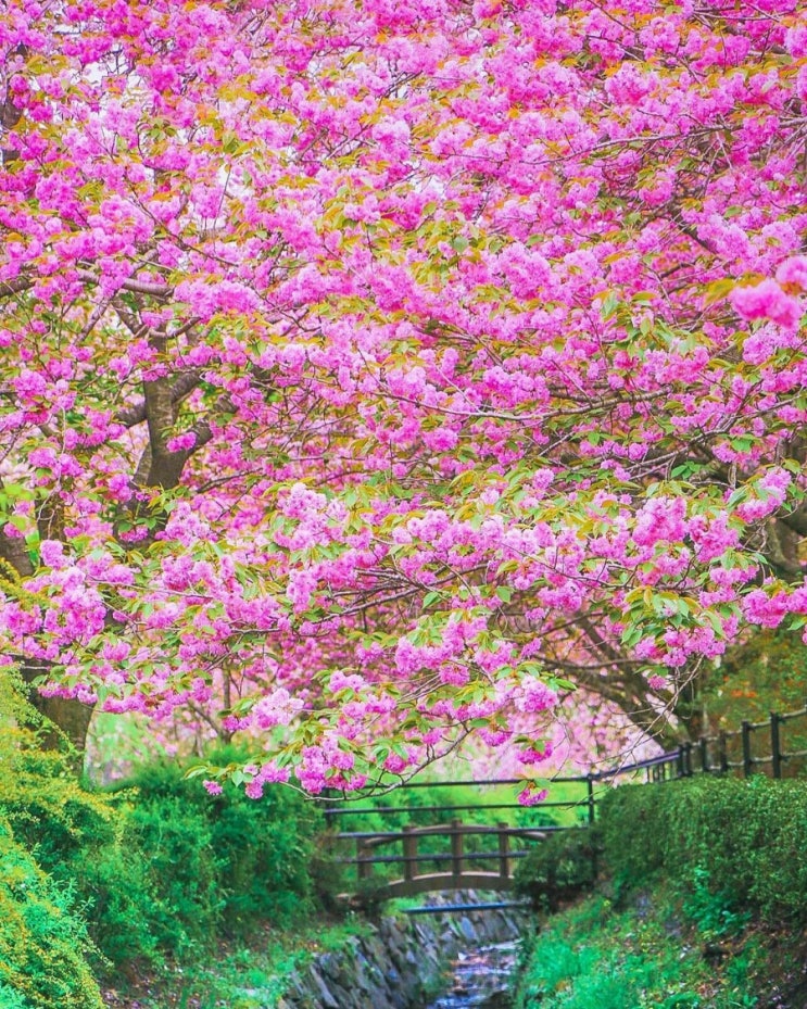   오늘의 생활정보 (2024-04-21, 일)