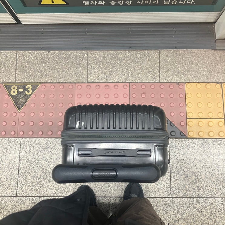  나 혼자 제주도 뚜벅이 여행기 - 1
