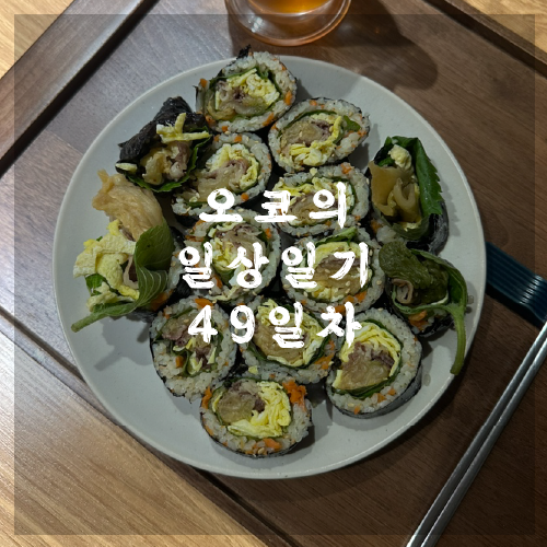  오코의 100일 일상일기 DAY 49 김밥싸기 득도함