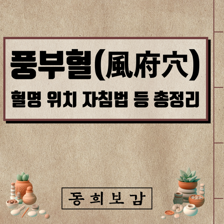  풍부혈(風府穴) GV16, 소속경맥 혈명 위치 특성 자침법 등 총정리