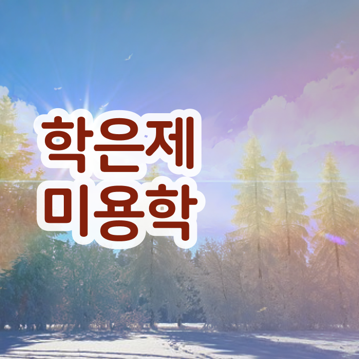  , 학은제로 6개월 만에 종합미용사자격증 끝낸방법