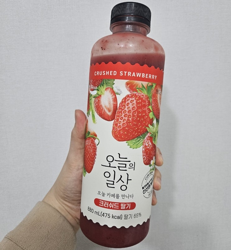  [홈 카페] 간편하게 즐김! 딸기 씨가 살아 있는 과일주스 '오늘의 일상 크러쉬드 딸기'
