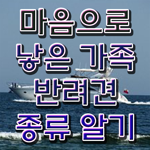  반려동물학 , 반려동물관리사 자격증 온라인으로 손쉽게 학습 후 취득방법 및 구인구직 채용 관련