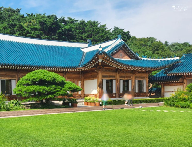  서울 여행 가족과 가볼 만한 곳- 청와대앞길, 경복궁