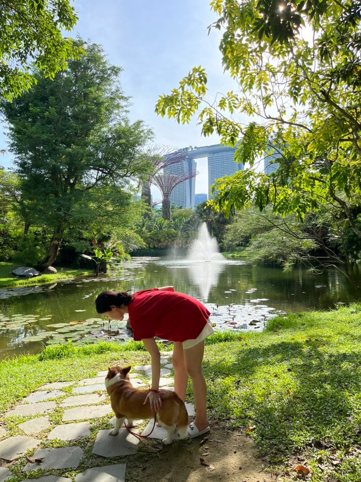  세계 블루존, 6번째 싱가포르 선정, 블루존의 비밀, 댄 뷰트너, 장수마을