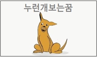  누런개꿈 해몽 누런개보는꿈 누런개키우는꿈 누런개에게물리는꿈