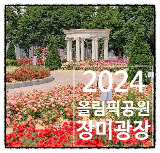 2024 올림픽공원 장미광장 장미 축제 후기