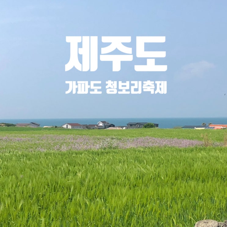  가파도 청보리축제 기간 운진항 주차 배시간 입장료 예약방법