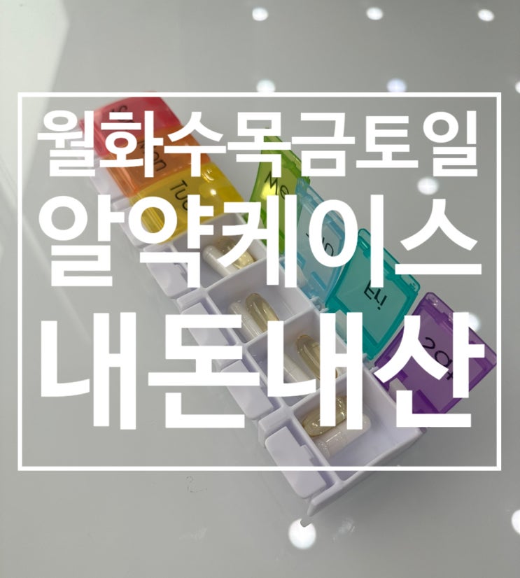  월화수목금토일 일주일 휴대용 알약 케이스 요일별 약통 보관함 내돈내산 리뷰