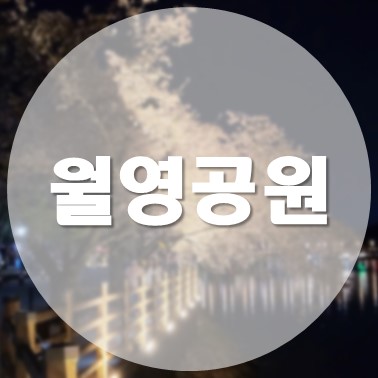  [국내/안동] 안동 가볼 만한 곳 월영공원 월영교 야경 명소 즐기기