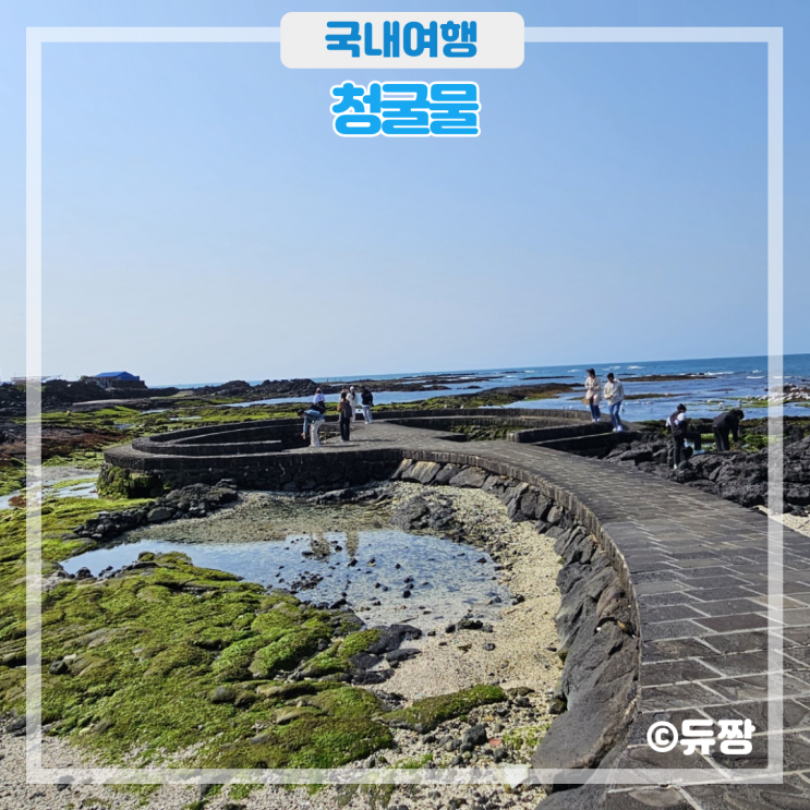  4월 제주도 가볼 만한 곳 김녕 청굴물(주차, 물때)