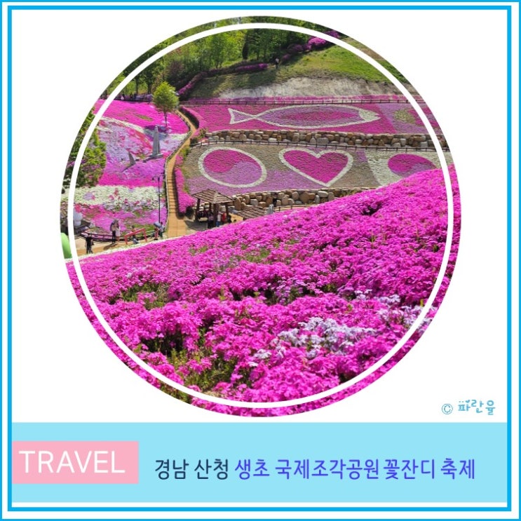  산청 꽃잔디 축제 생초 국제 조각공원 대구 근교 가볼 만한 곳 경남 4월 꽃 축제