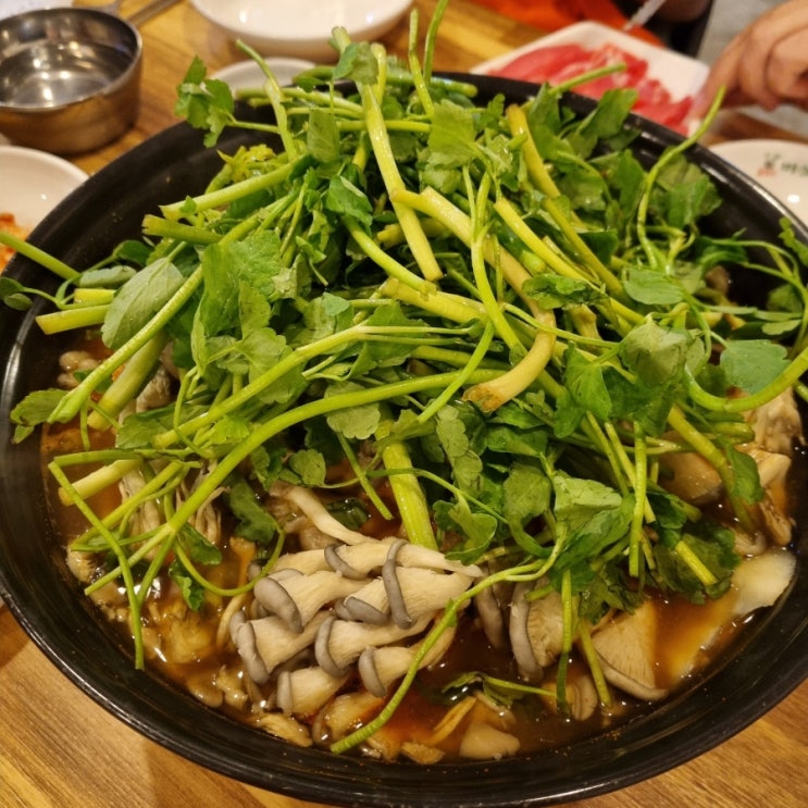  여의도 점심 맛집 또간집 가양칼국수버섯매운탕 (캐치테이블 가능)