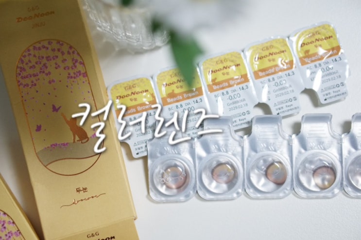 눈이 편한 두눈렌즈 비즈 브라운 그레이 원데이 컬러렌즈 추천