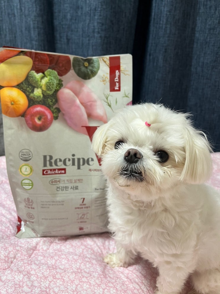  강아지 유기농 닭고기 사료 유한양행 Recipe V 세븐제로 강아지 씨