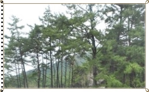 용제산 사진 4
