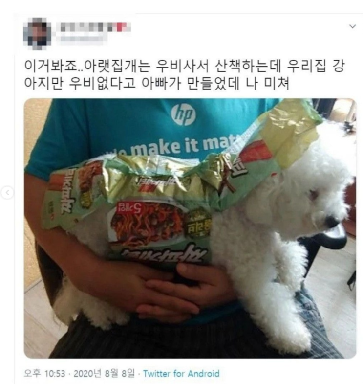 강아지 우비 없어서 아빠가 만들었대