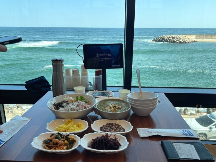  속초 현지인 물회 맛집 봉포머구리집 솔직후기