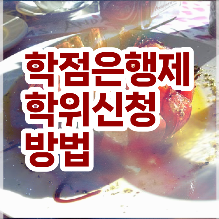  학점은행제 학사 학점은행제 편입 정보 가득