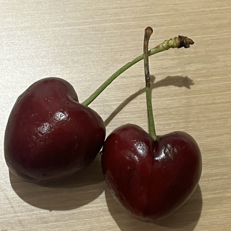  푸주 두부