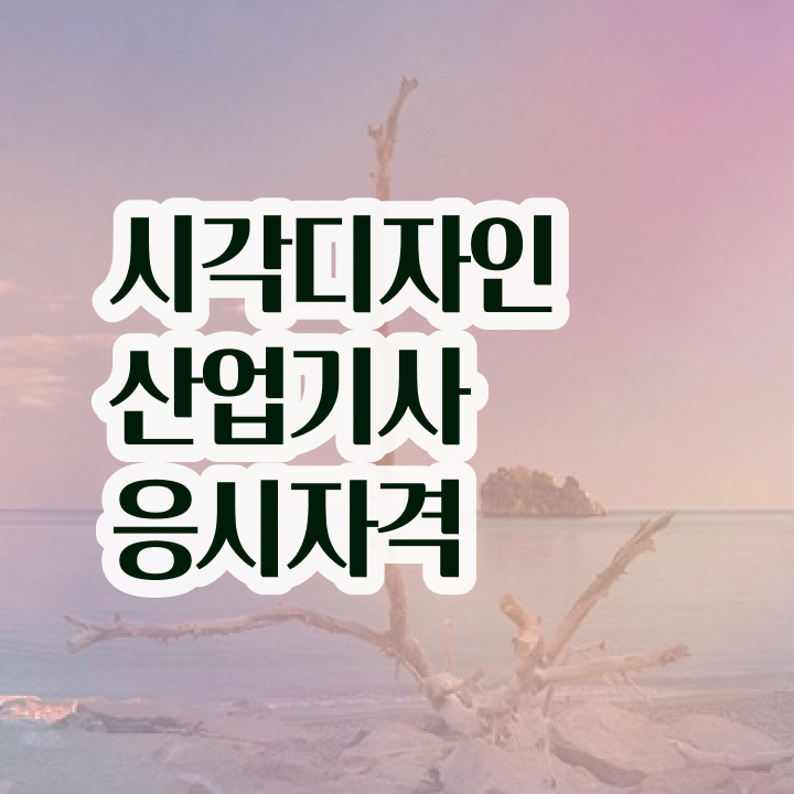  , 시각디자인산업기사 취득자격 관련학과 졸업장 없어도 온라인 과정 100%로 쉽게 준비한 과정