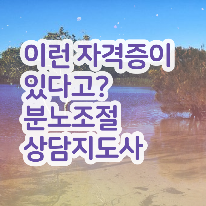  유아 분노조절장애 , 분노조절상담지도사 준비한 방법 , 일자리 전망