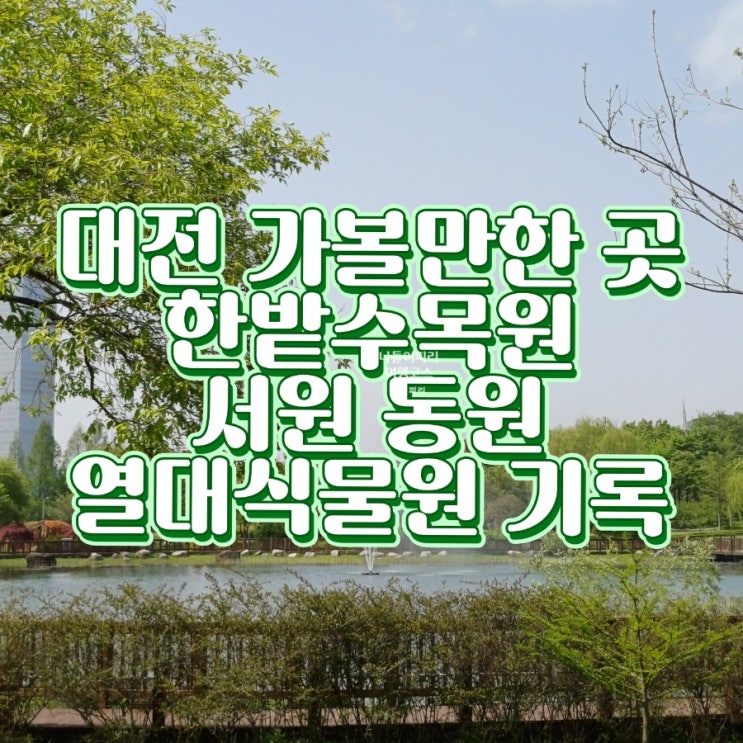  대전 가볼만한 곳 한밭수목원 서원 동원 열대식물원 기후위기시계